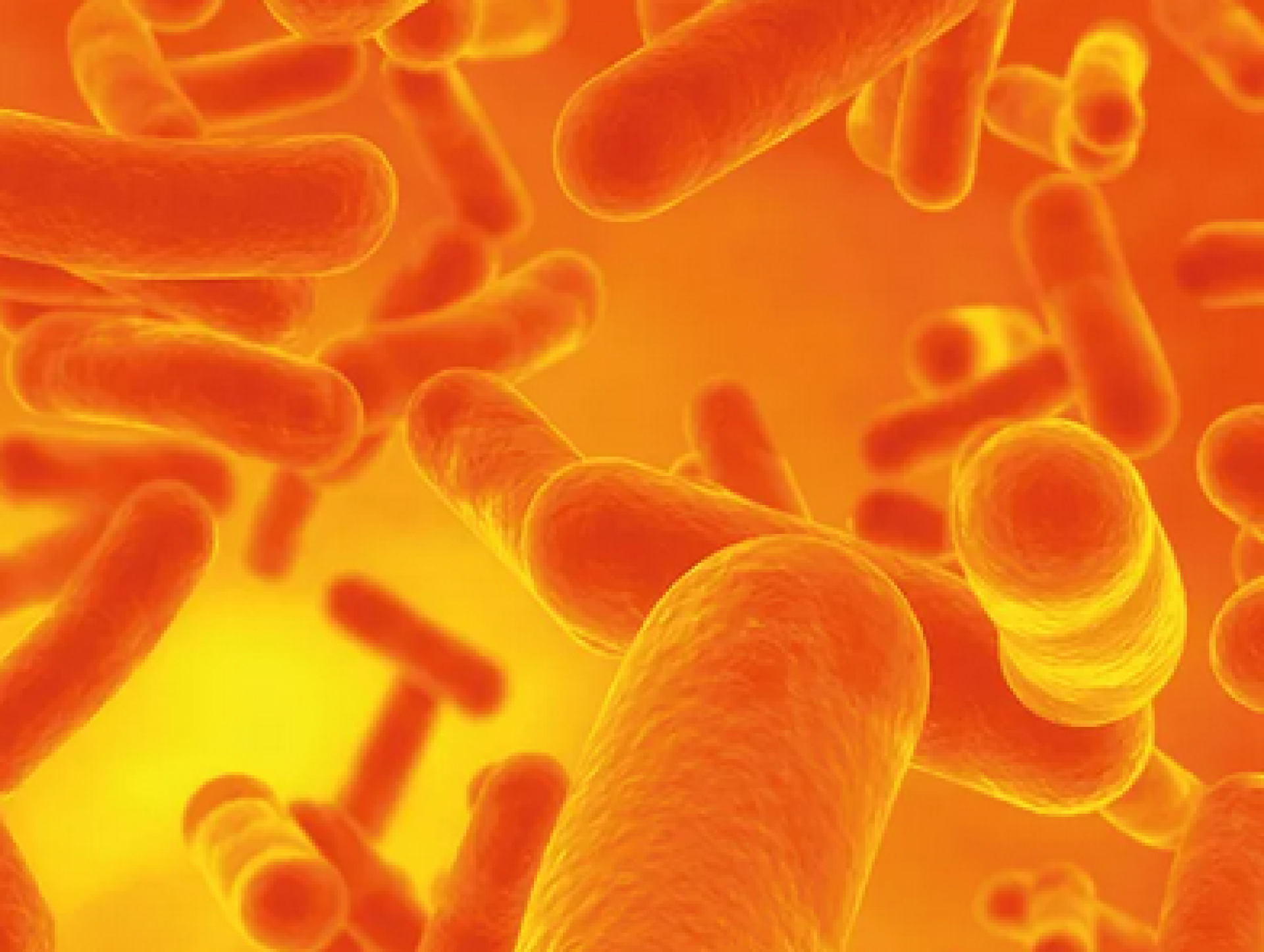 Product - MICA Alycyclobacillus Detection Kit 96 vzoriek